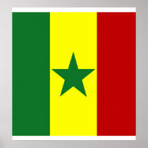 Senegal High quality Flag Print