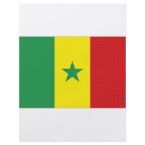 Senegal National Flag Flyer