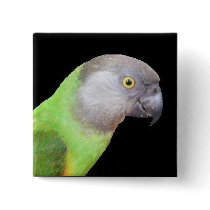 SENEGAL PARROT HEAD buttons by cowpainter SENEGAL PARROT HEAD buttons