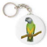 Senegal Parrot Keychain