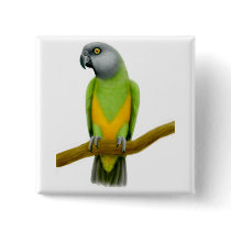 Senegal Parrot Pin buttons by twopurringcats Senegal Parrot Pin buttons