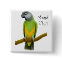 Senegal Parrot Pin buttons by twopurringcats Senegal Parrot Pin buttons