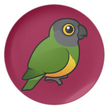 Senegal Parrot Plates