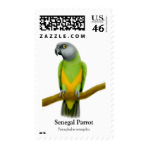 Senegal Parrot Postage postage by twopurringcats Senegal Parrot Postage postage