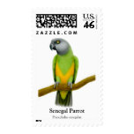 Senegal Parrot Postage