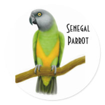 Senegal Parrot Sticker by twopurringcats Senegal Parrot Sticker
