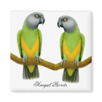 Senegal Parrots Magnet by twopurringcats Senegal Parrots Magnet