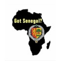 SENEGAL / SENEGALESE FLAG T-SHIRT AND ETC by AFRICANKOKO SENEGAL / SENEGALESE FLAG T-SHIRT AND ETC