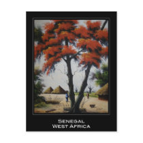Senegalese Art Postcard