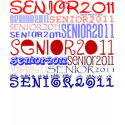 Senior 2011 - Red-White-Blue - Hoody Shirt shirt