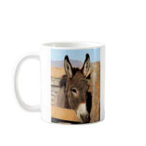 Senor Burro stage left mugs
