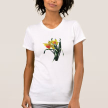 Señoras curiosas de los narcisos camisetas