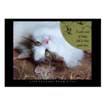 Sense Life Lessons From A Cat ACEO Art Cards business cards