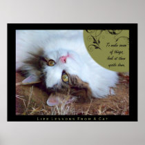 Sense Life Lessons From A Cat Fine Art Print