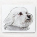 Sensitive Side of Bizou the Bichon mousepads