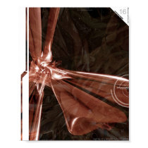 sensory.i d y l l i c.v1 posters by sensory_idyllic sensory.i d y l l i c.v1 posters