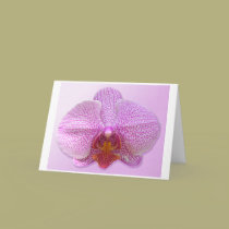 Sensual Art Card by mrlizard Sensual Art Card