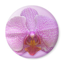 Sensual magnets by mrlizard Sensual magnets