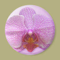 Sensual magnets by mrlizard Sensual magnets