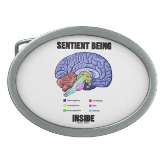 Sentient Being Inside (Anatomical Brain) Oval Belt Buckles