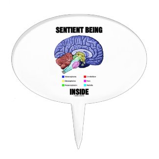 Sentient Being Inside (Anatomical Brain) Cake Picks