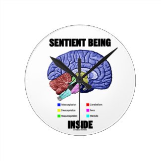 Sentient Being Inside (Anatomical Brain) Wall Clock