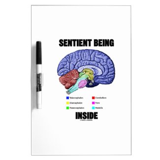 Sentient Being Inside (Anatomical Brain) Dry Erase Boards