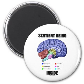 Sentient Being Inside (Anatomical Brain) Refrigerator Magnets