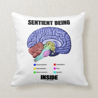 Sentient Being Inside (Anatomical Brain) Throw Pillow