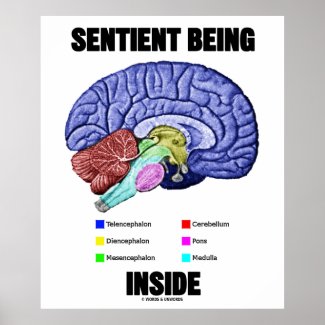 Sentient Being Inside (Anatomical Brain) Print