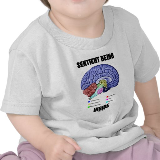Sentient Being Inside (Anatomical Brain) T-shirts