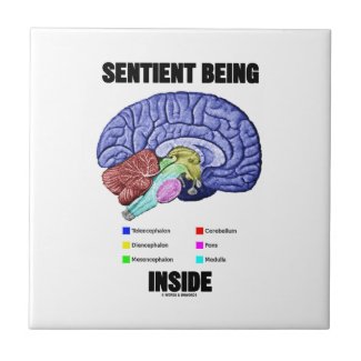 Sentient Being Inside (Anatomical Brain) Ceramic Tile