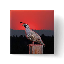 SENTINEL AT SUNSET PIN