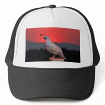 SENTINEL AT SUNSET HAT
