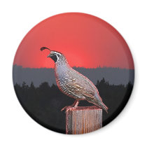 SENTINEL AT SUNSET FRIDGE MAGNET