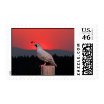 SENTINEL AT SUNSET POSTAGE STAMPS