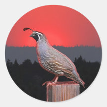 SENTINEL AT SUNSET ROUND STICKERS