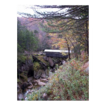 Sentinel Bridge Fall Foliage Poster posters