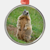 Sentinel marmot ornaments