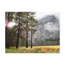 Sentinel Meadow postcards