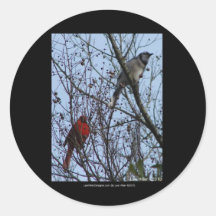 Sentinels Blue Jay and Cardinal by Lee Hiller Sticker