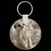 Sentry-in-Training Keyring keychains by Marmotta Sentry-in-Training Keyring keychains