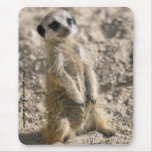 Sentry in Training Mousemat Mousepads