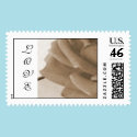 Sep-FLower, LOVE postage