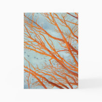 Separation Anxiety, Panel One cards