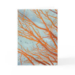 Separation Anxiety, Panel One cards