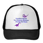 Separation of Church and State Hat