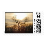 Seperation Postage
