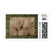 Sephia Roses & Barnwood Wedding Stamps