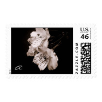 Sepia Alstroemeria Lily Postage postage